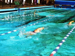 Sondertraining Eigenbad II